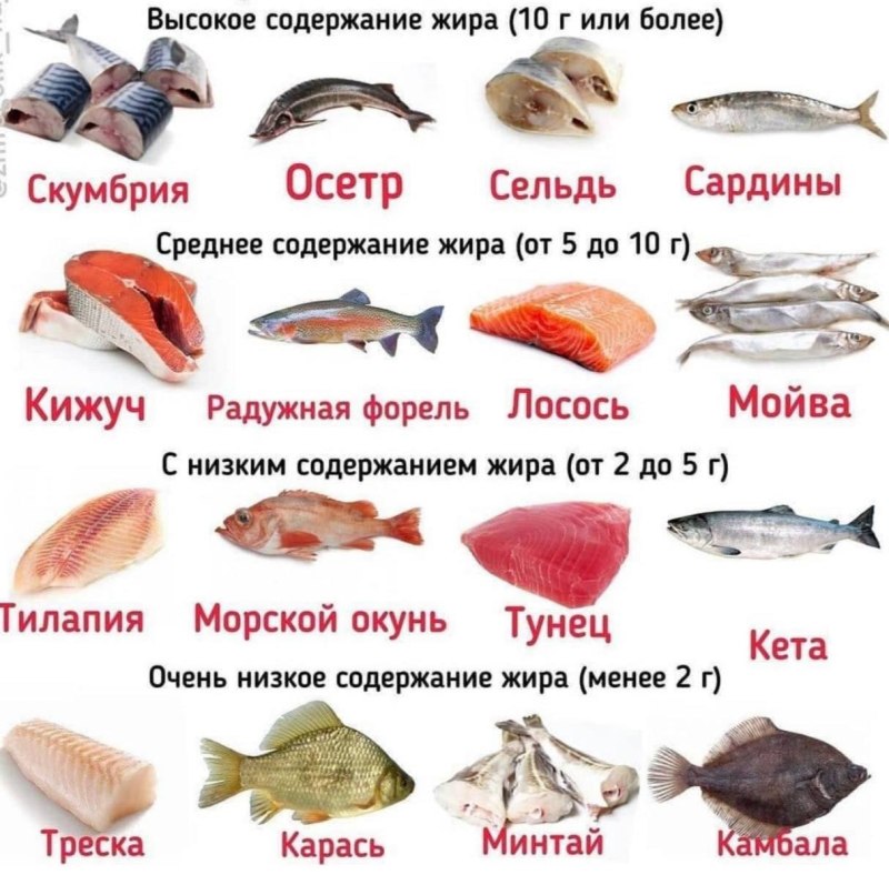 Рыба с высоким содержанием белка