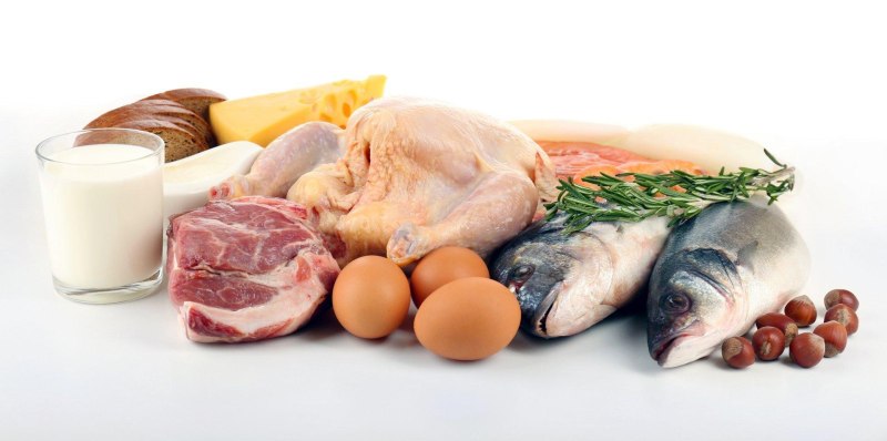 Продукты животного происхождения