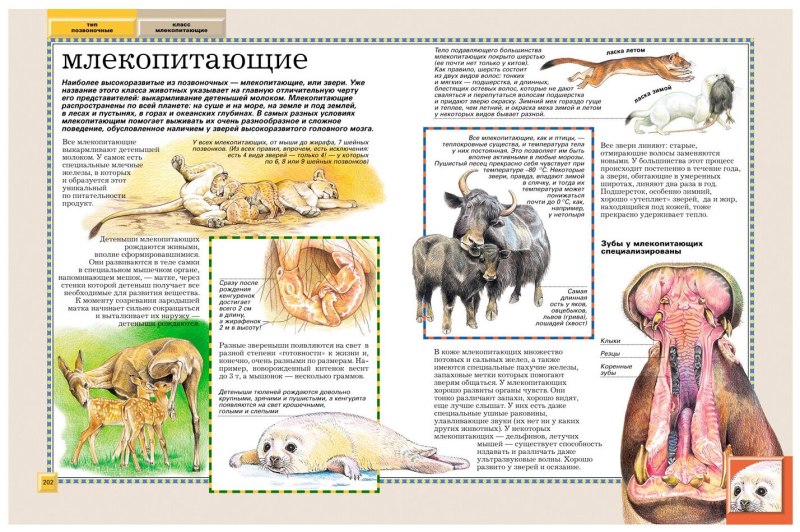Полная энциклопедия. Животные Бейко в., Березина м.
