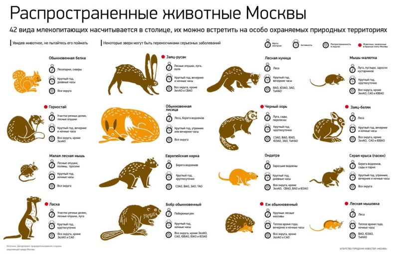 Животные Москвы
