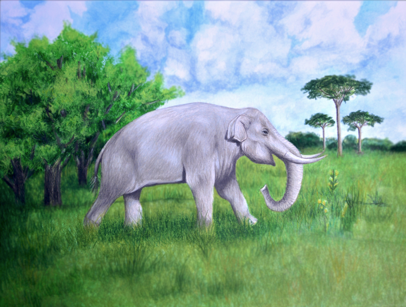 Notiomastodon
