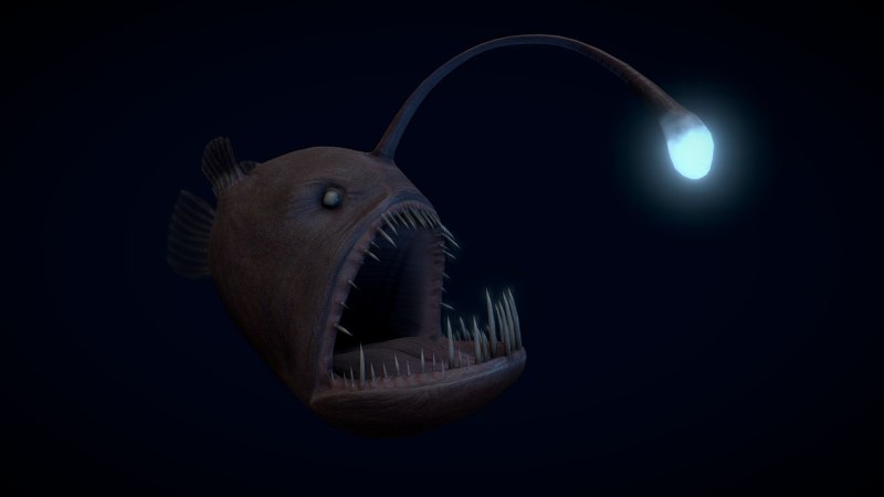 Anglerfish финтегроу Фиш