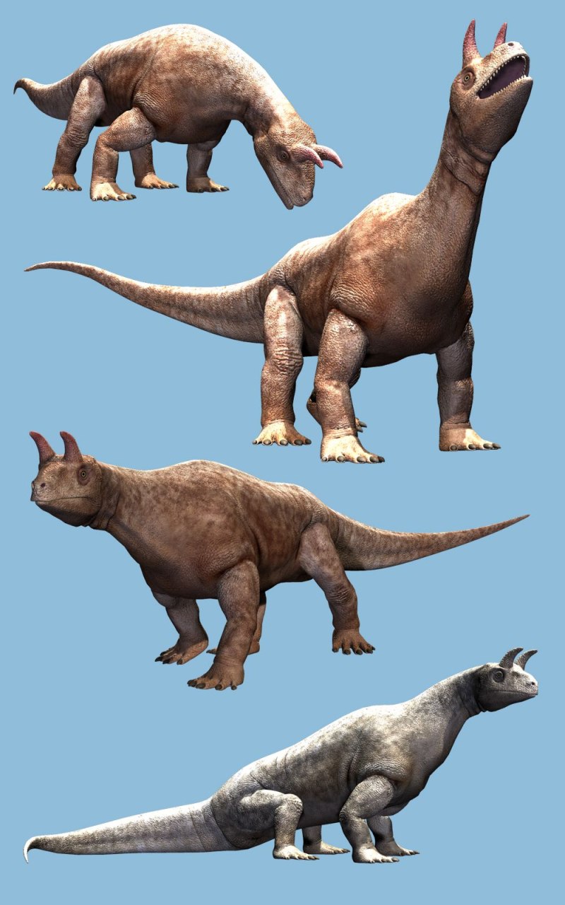Shringasaurus indicus