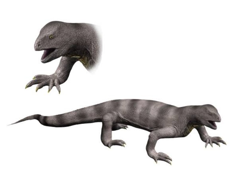 Trilophosaurus buettneri