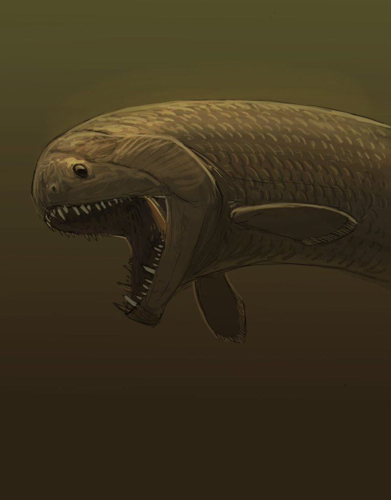 РИЗОДУС (Rhizodus hibberti)
