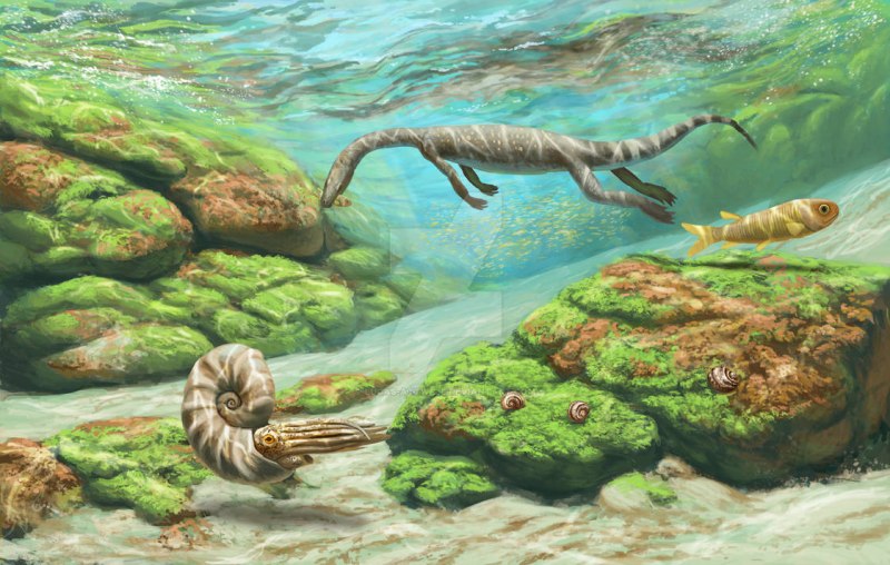 Морская мегафауна