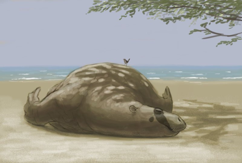 Морской Бегемот