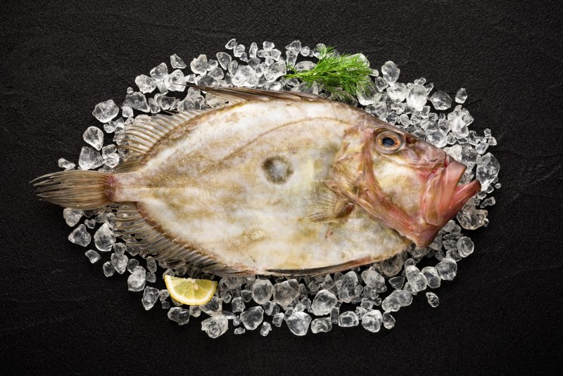 Saint Pierre Fish