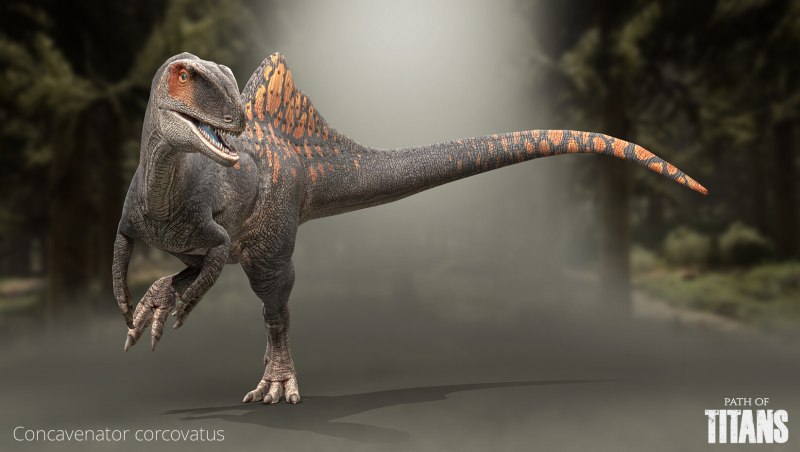 Динозавр Concavenator corcovatus