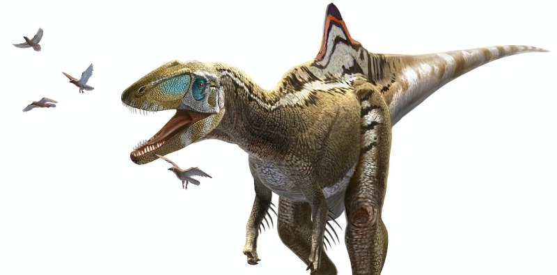 Динозавр Concavenator corcovatus