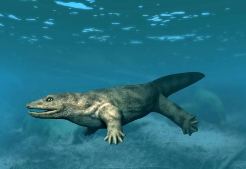 Megalichthys