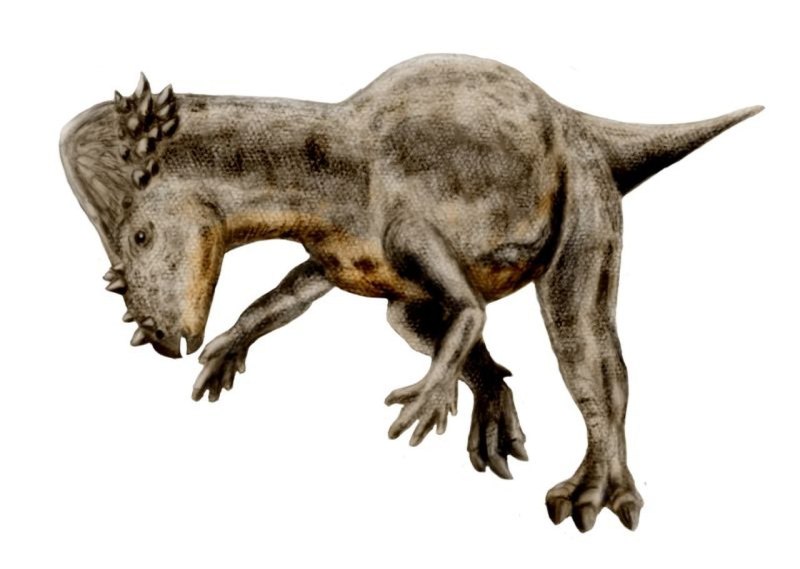 Schleich Пахицефалозавр