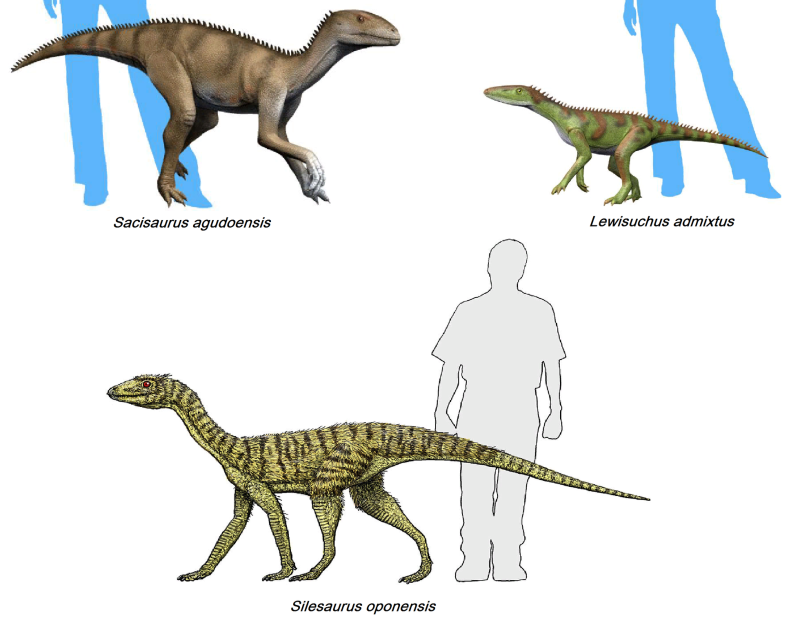 Silesaurus opolensis