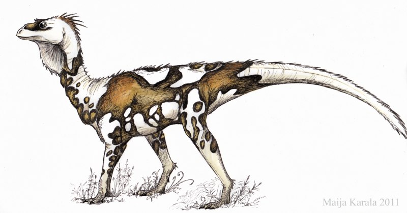Silesaurus opolensis