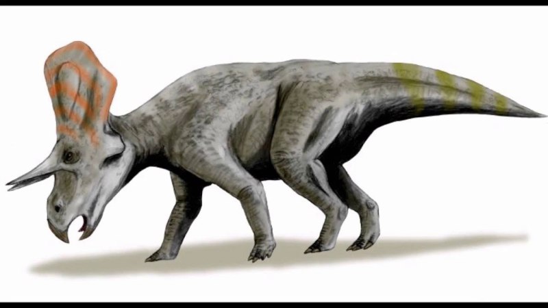 Yinlong динозавр