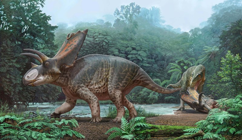 Bisticeratops froeseorum