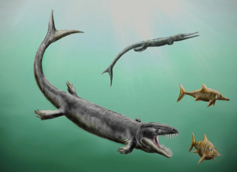 Дакозавр (Dakosaurus)