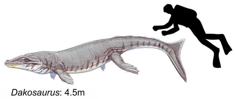 Дакозавр (Dakosaurus)