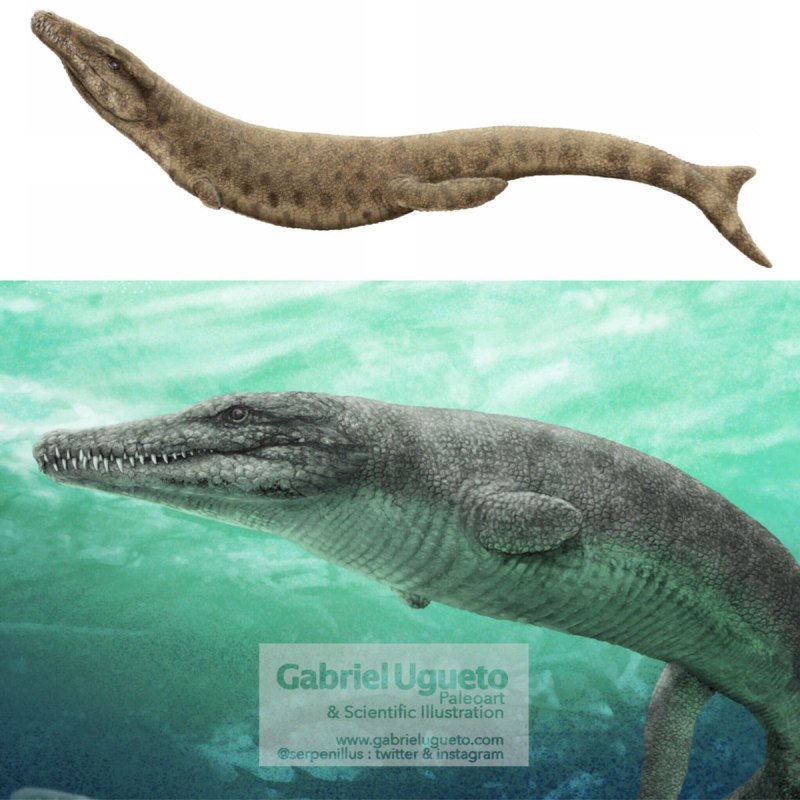 Дакозавр (Dakosaurus)