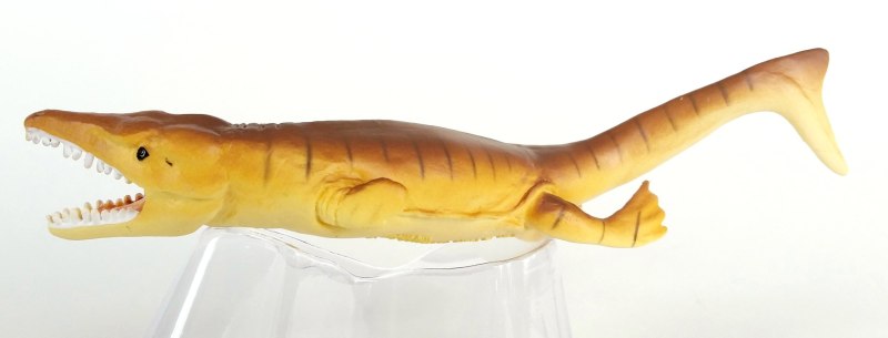 Plesiosuchus сафари