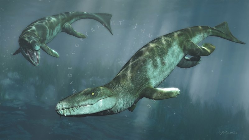 Дакозавр (Dakosaurus)