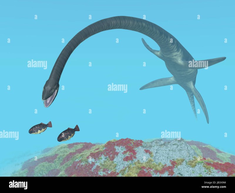 Saurian Elasmosaurus