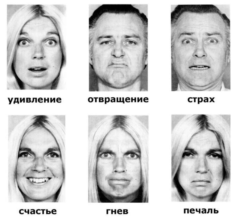 Пол Экман базовые эмоции