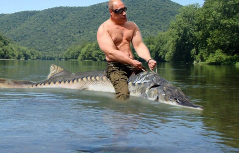 Путин с рыбой