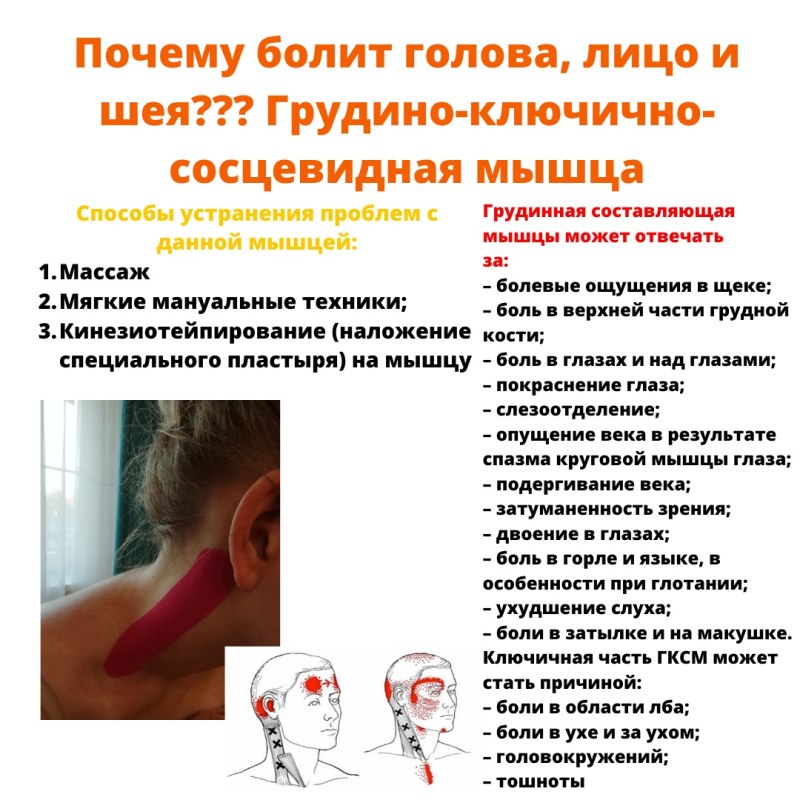 Болит голова в области затылка и шеи