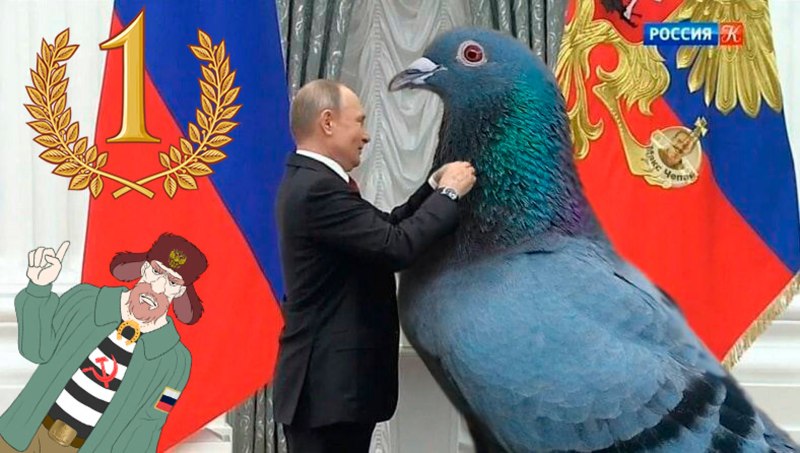 Голубь Путина