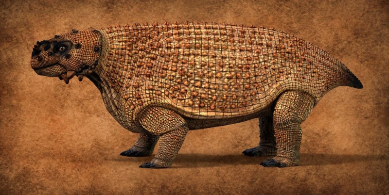 Scutosaurus karpinskii