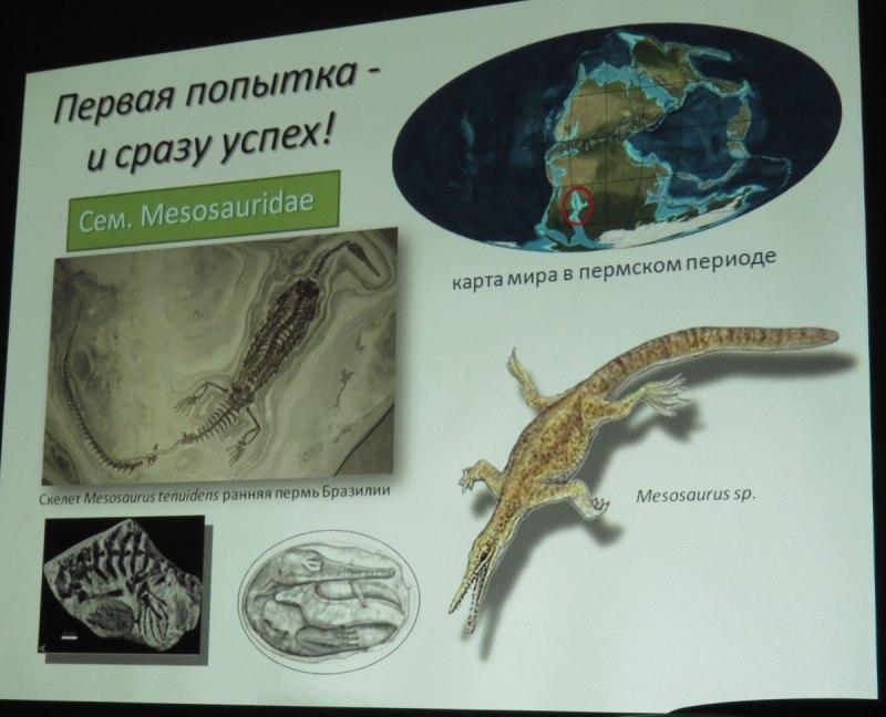 Каменноугольный период карта мира