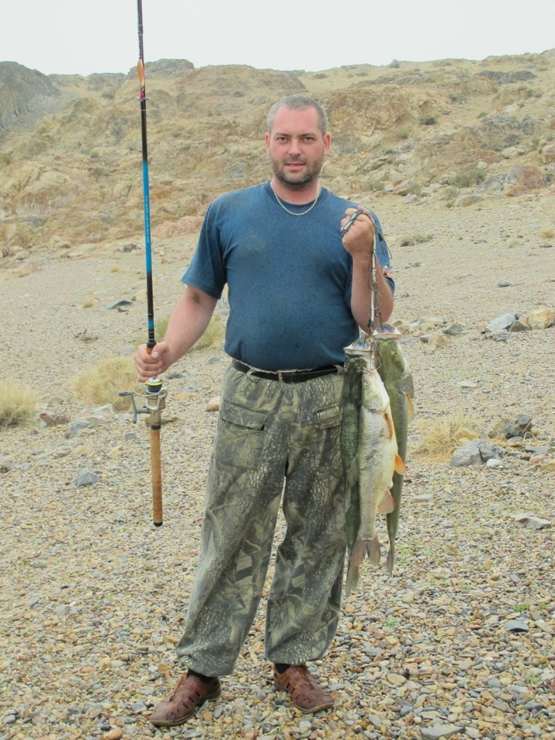 Монгольский Осман рыба