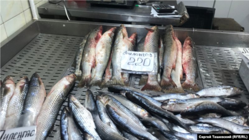 Промышленные рыбы черного моря