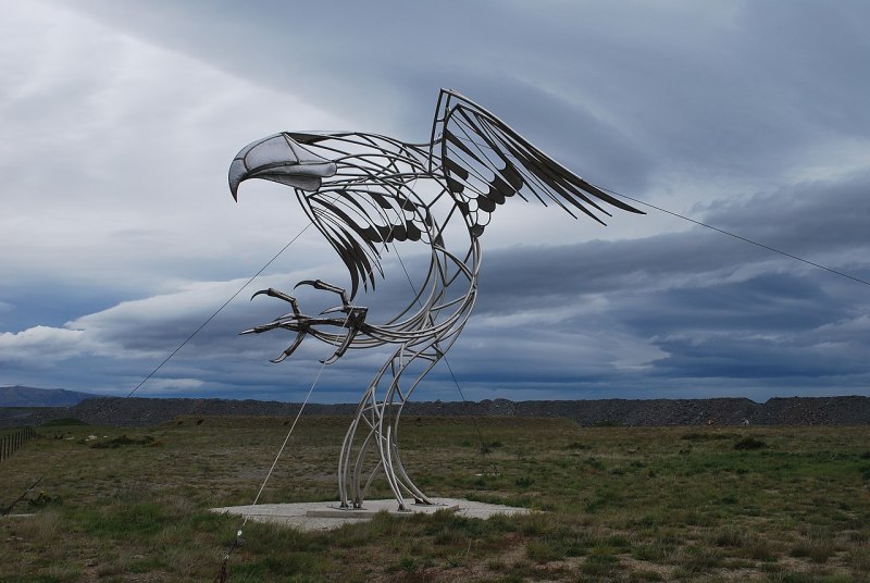 Haast's Eagle