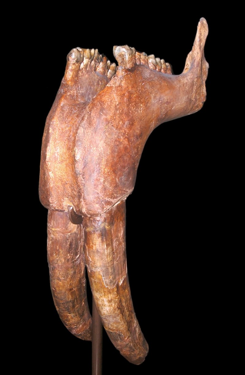 Bavaricum