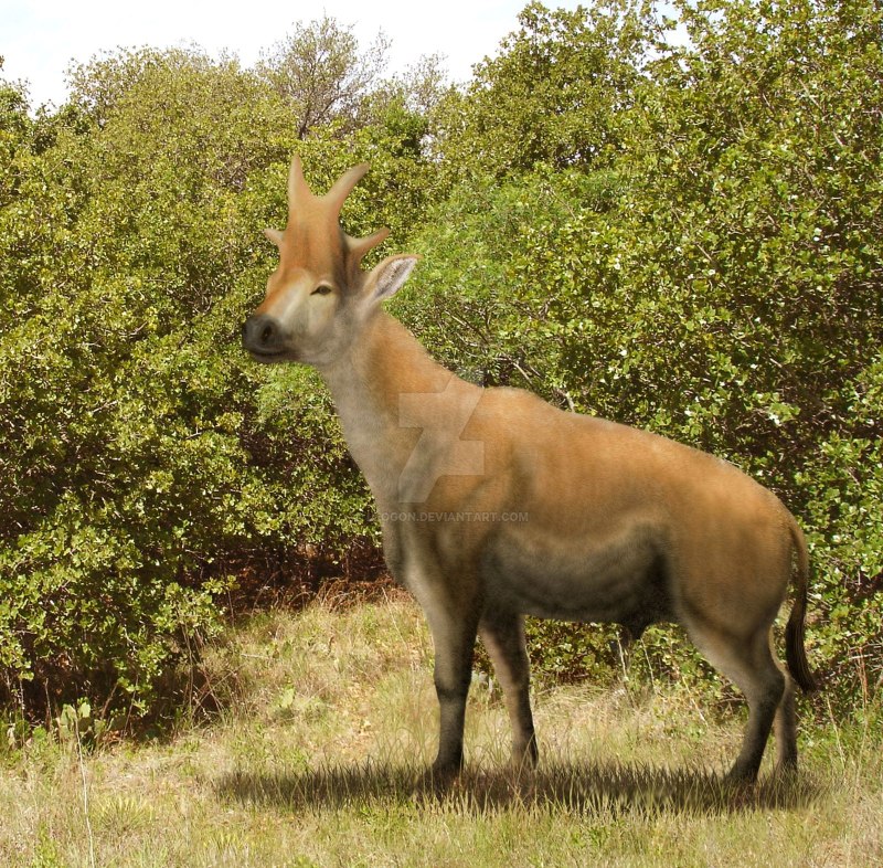 Bramatherium perimense