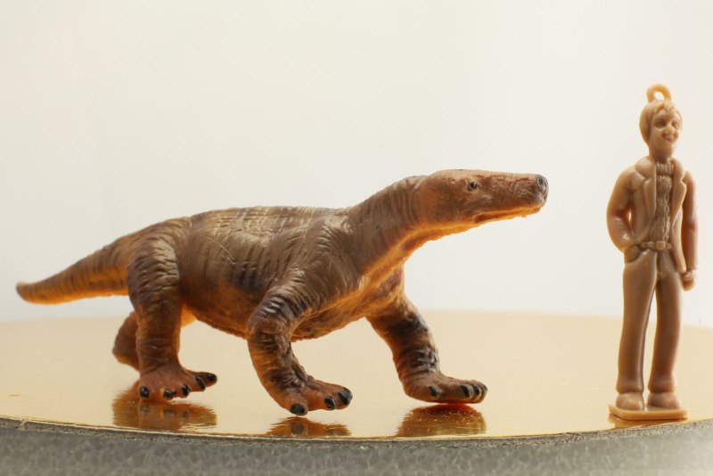 Procynosuchus viadimiriensis