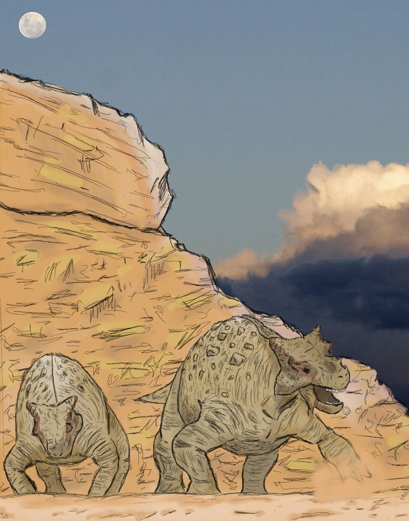 Bunostegos akokanensis