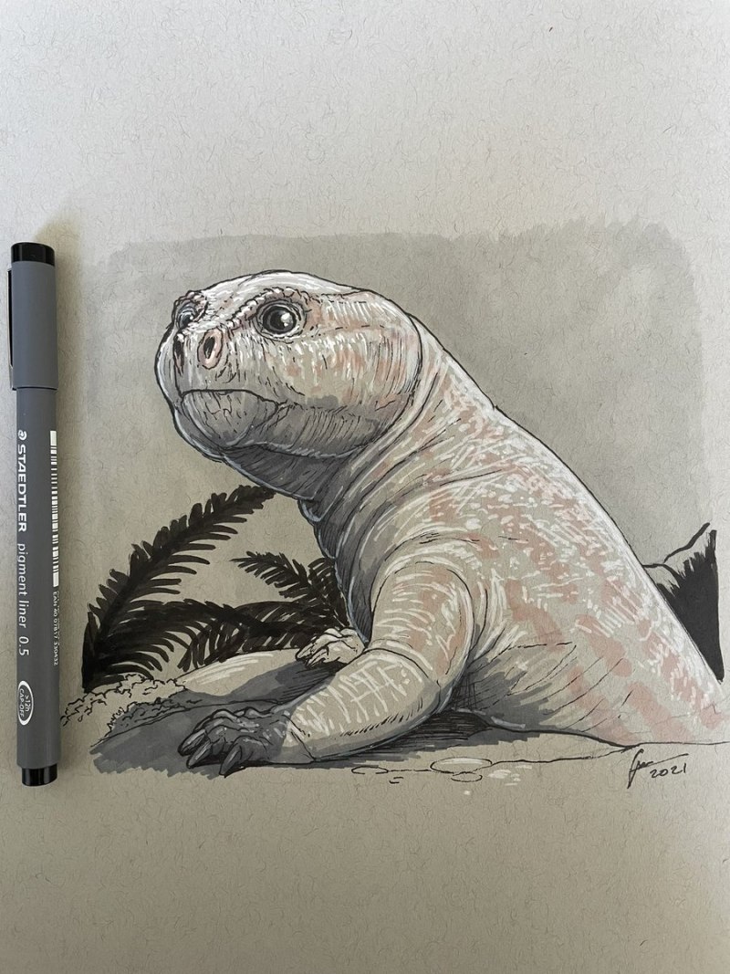 Cistecephalus