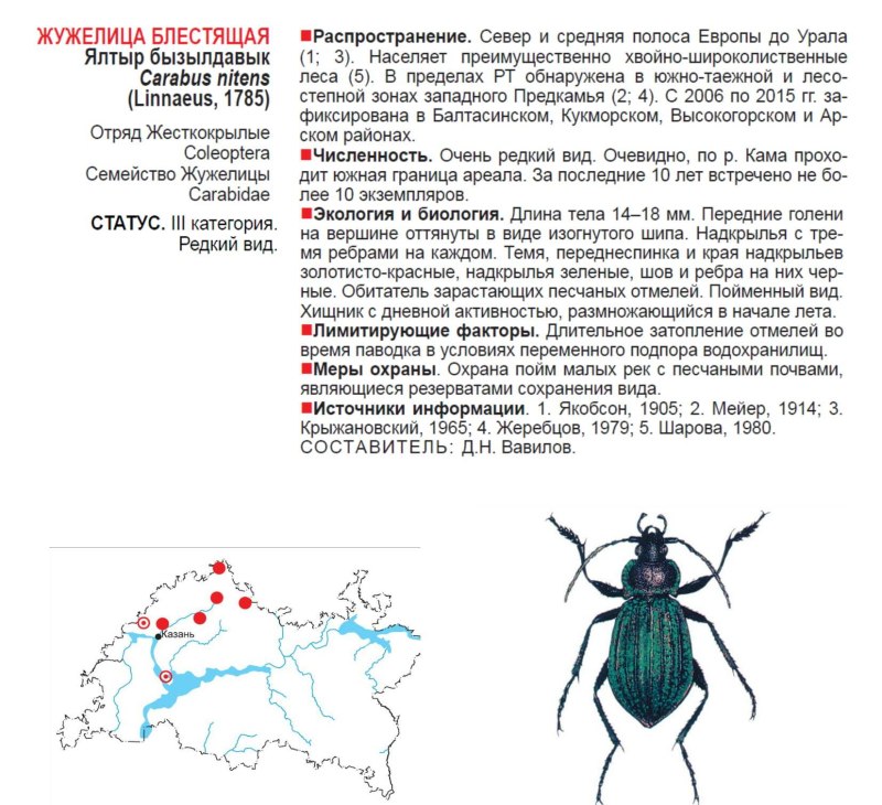 Жужелица блестящая красная книга
