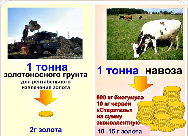 Тонна навоза