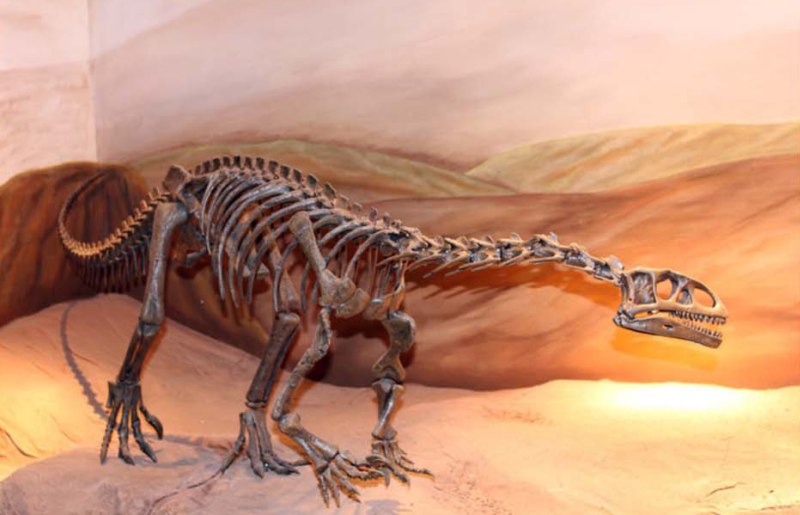 Leonerasaurus taquetrensis