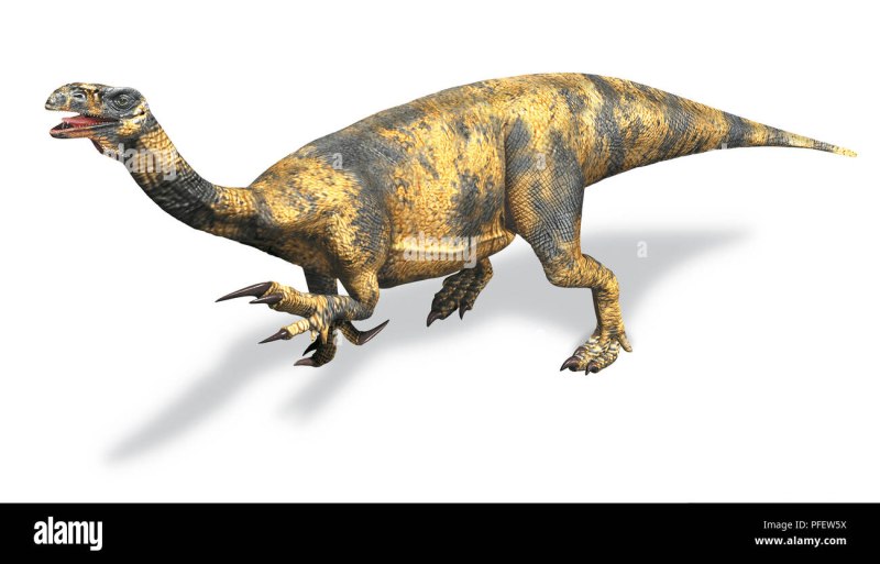 Antetonitrus ingenipes