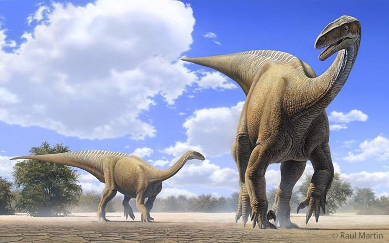 Пазл Castorland Plateosaurus desierto (в-13050), 120 дет.