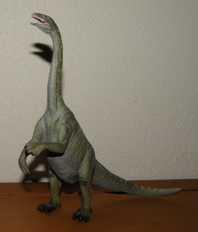 Collecta Лилиенстерн