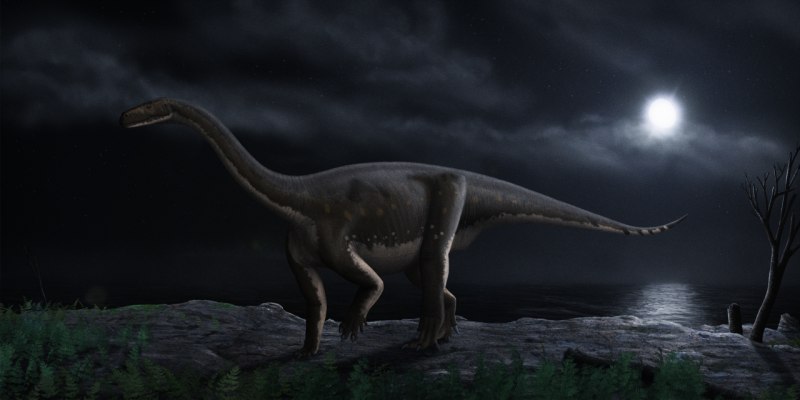 Ignavusaurus