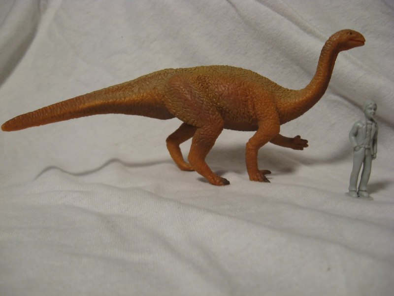 Collecta Diplodocus