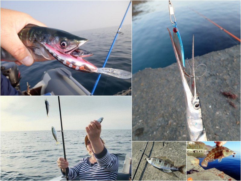 Ловля кефали в черном море