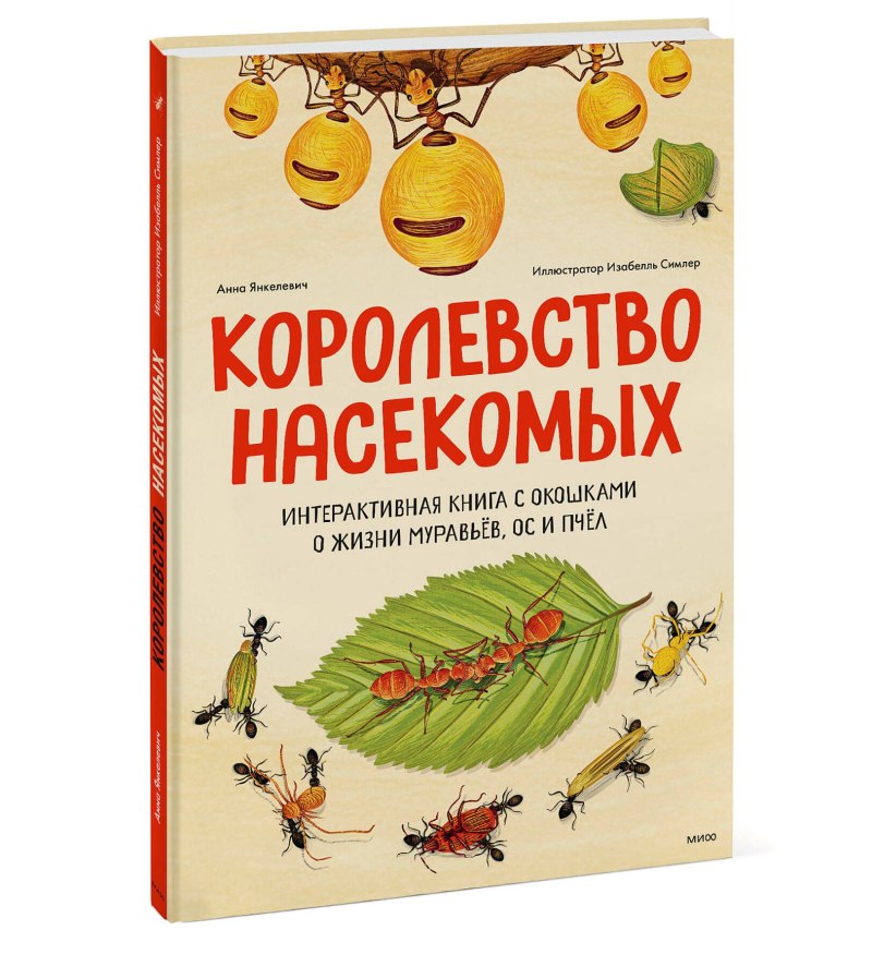 Королевство насекомых
